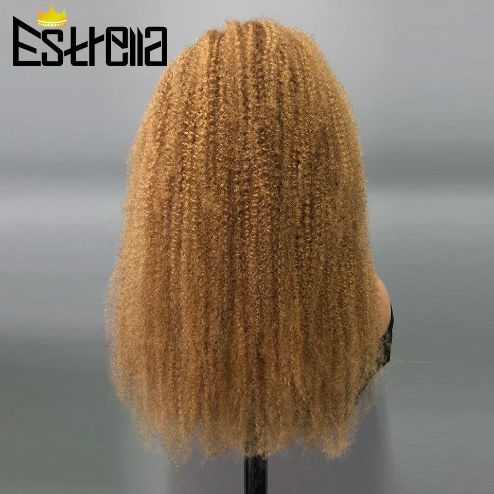 # Brazilian 13x4 Lace Front Wig: Pre-Plucked and Voluminous
